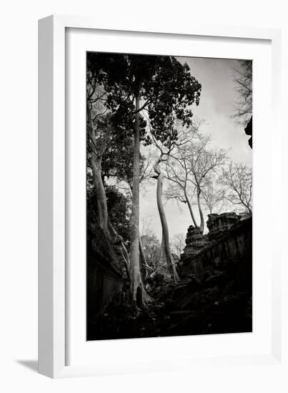 Ancient Ta Prohm II-Erin Berzel-Framed Photographic Print