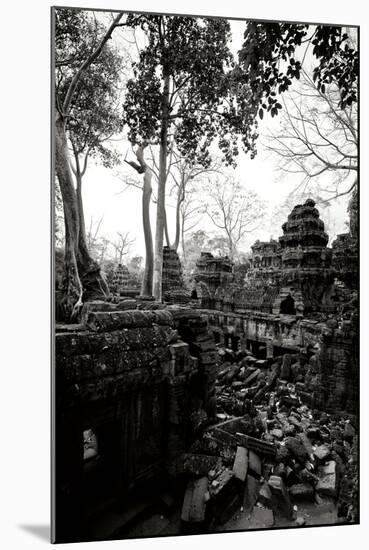 Ancient Ta Prohm IV-Erin Berzel-Mounted Photographic Print