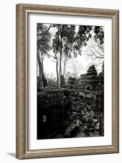 Ancient Ta Prohm IV-Erin Berzel-Framed Photographic Print