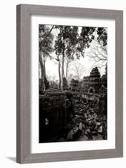 Ancient Ta Prohm IV-Erin Berzel-Framed Photographic Print