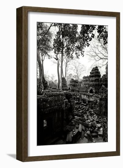Ancient Ta Prohm IV-Erin Berzel-Framed Photographic Print