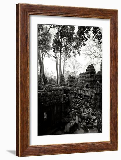 Ancient Ta Prohm IV-Erin Berzel-Framed Photographic Print