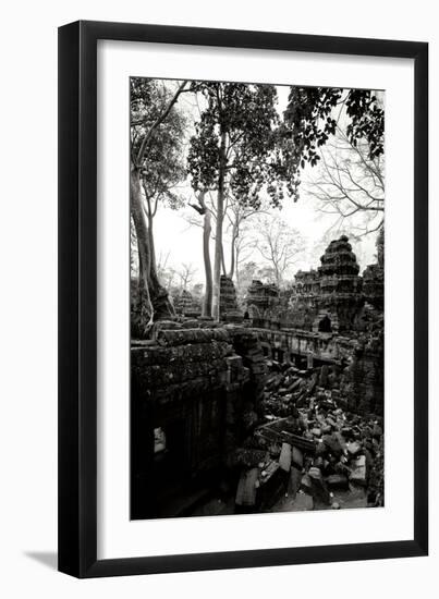 Ancient Ta Prohm IV-Erin Berzel-Framed Photographic Print