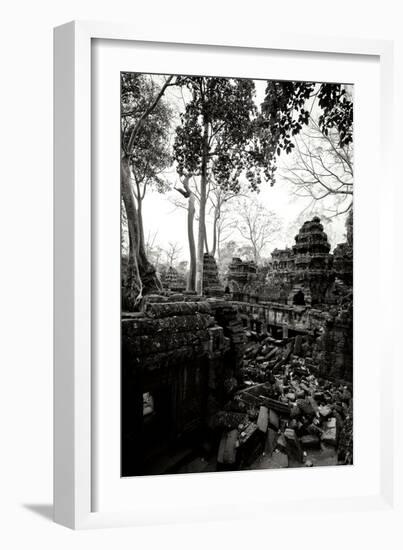 Ancient Ta Prohm IV-Erin Berzel-Framed Photographic Print