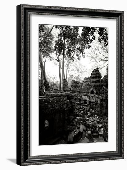 Ancient Ta Prohm IV-Erin Berzel-Framed Photographic Print