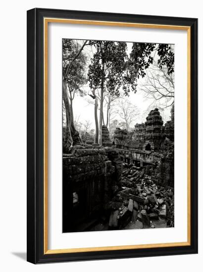 Ancient Ta Prohm IV-Erin Berzel-Framed Photographic Print