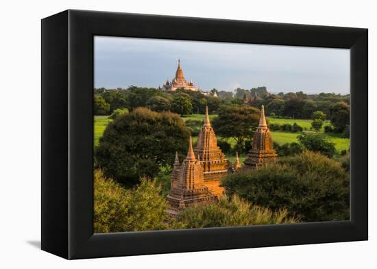 Ancient temple and pagoda rising out of the jungle at sunrise, Bagan, Mandalay Region, Myanmar-Keren Su-Framed Premier Image Canvas