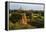 Ancient temple and pagoda rising out of the jungle at sunrise, Bagan, Mandalay Region, Myanmar-Keren Su-Framed Premier Image Canvas