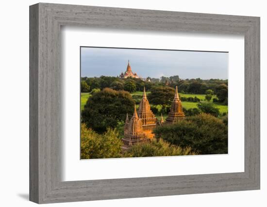 Ancient temple and pagoda rising out of the jungle at sunrise, Bagan, Mandalay Region, Myanmar-Keren Su-Framed Photographic Print