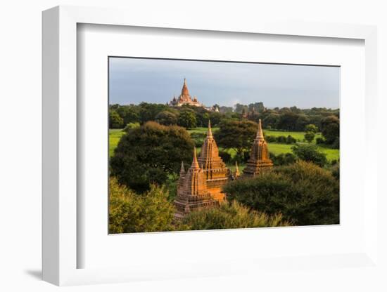 Ancient temple and pagoda rising out of the jungle at sunrise, Bagan, Mandalay Region, Myanmar-Keren Su-Framed Photographic Print