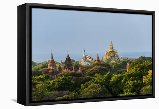 Ancient temple and pagoda rising out of the jungle, Bagan, Mandalay Region, Myanmar-Keren Su-Framed Premier Image Canvas