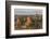 Ancient Temple City of Bagan (Also Pagan), Myanmar (Burma)-Peter Adams-Framed Photographic Print