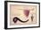 Ancient Tomahawk, Peace Pipe and Dagger, C.1590-John White-Framed Giclee Print