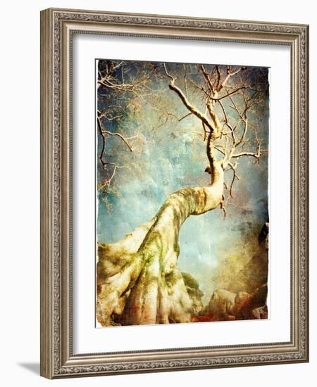 Ancient Tree Of Cambodian Temple - Artistic Retro Picture-Maugli-l-Framed Art Print