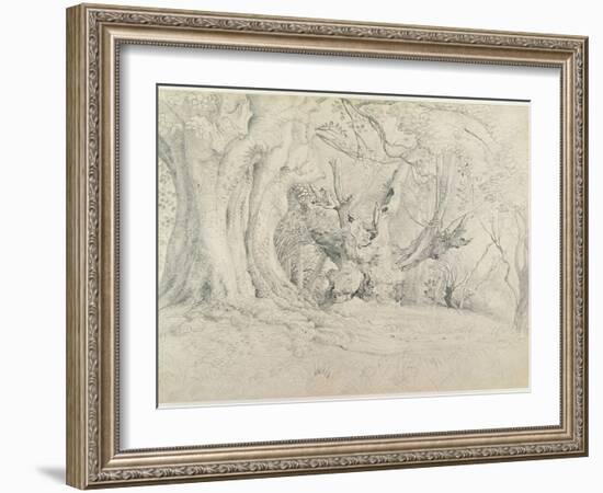 Ancient Trees, Lullingstone Park, 1828 (Graphite on Paper)-Samuel Palmer-Framed Giclee Print