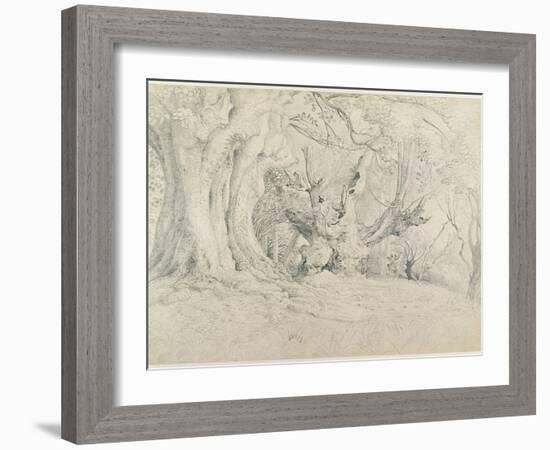 Ancient Trees, Lullingstone Park, 1828 (Graphite on Paper)-Samuel Palmer-Framed Giclee Print