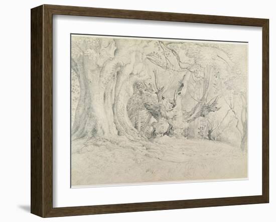 Ancient Trees, Lullingstone Park, 1828 (Graphite on Paper)-Samuel Palmer-Framed Giclee Print