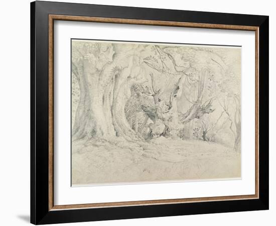 Ancient Trees, Lullingstone Park, 1828 (Graphite on Paper)-Samuel Palmer-Framed Giclee Print