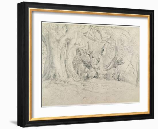 Ancient Trees, Lullingstone Park, 1828 (Graphite on Paper)-Samuel Palmer-Framed Giclee Print