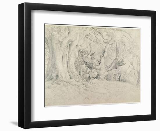 Ancient Trees, Lullingstone Park, 1828 (Graphite on Paper)-Samuel Palmer-Framed Premium Giclee Print