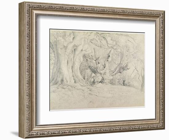 Ancient Trees, Lullingstone Park, 1828 (Graphite on Paper)-Samuel Palmer-Framed Giclee Print
