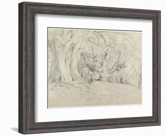 Ancient Trees, Lullingstone Park, 1828 (Graphite on Paper)-Samuel Palmer-Framed Giclee Print