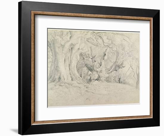 Ancient Trees, Lullingstone Park, 1828 (Graphite on Paper)-Samuel Palmer-Framed Giclee Print