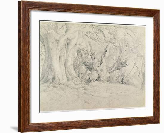 Ancient Trees, Lullingstone Park, 1828 (Graphite on Paper)-Samuel Palmer-Framed Giclee Print