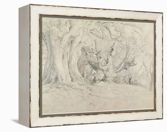 Ancient Trees, Lullingstone Park, 1828 (Graphite on Paper)-Samuel Palmer-Framed Premier Image Canvas