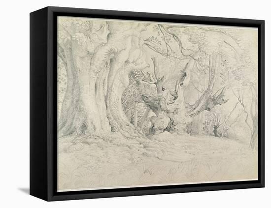 Ancient Trees, Lullingstone Park, 1828 (Graphite on Paper)-Samuel Palmer-Framed Premier Image Canvas