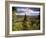 Ancient Valley of Gauja River, Guaja National Park, Painter's Hill, Latvia-Janis Miglavs-Framed Photographic Print