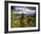 Ancient Valley of Gauja River, Guaja National Park, Painter's Hill, Latvia-Janis Miglavs-Framed Photographic Print