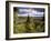 Ancient Valley of Gauja River, Guaja National Park, Painter's Hill, Latvia-Janis Miglavs-Framed Photographic Print