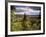 Ancient Valley of Gauja River, Guaja National Park, Painter's Hill, Latvia-Janis Miglavs-Framed Photographic Print