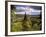 Ancient Valley of Gauja River, Guaja National Park, Painter's Hill, Latvia-Janis Miglavs-Framed Photographic Print