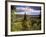 Ancient Valley of Gauja River, Guaja National Park, Painter's Hill, Latvia-Janis Miglavs-Framed Photographic Print