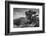 Ancient Western Juniper tree growing on the granite slopes above Olmstead Point-Adam Burton-Framed Photographic Print