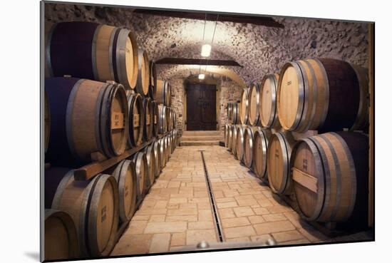 Ancient Wine Cellar-Vinne-Mounted Art Print