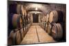 Ancient Wine Cellar-Vinne-Mounted Art Print