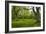 Ancient Wood Pasture, Estonia-Bob Gibbons-Framed Photographic Print