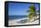 Ancon Beach, Trinidad, Sancti Spiritus Province, Cuba, West Indies, Caribbean, Central America-Jane Sweeney-Framed Premier Image Canvas