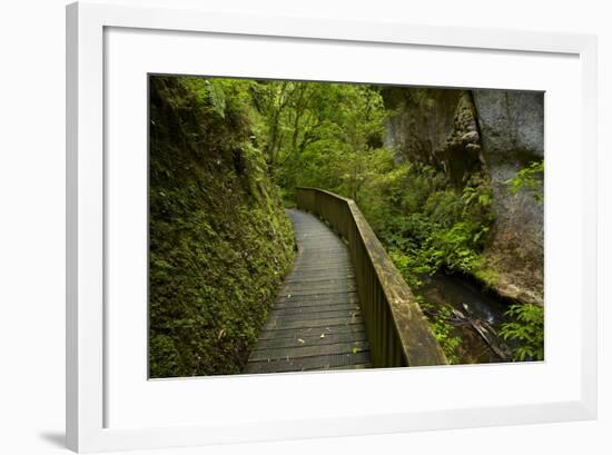 And Mangapohue Stream, Waikato, North Island, New Zealand-David Wall-Framed Photographic Print