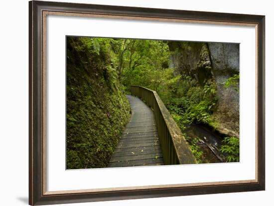 And Mangapohue Stream, Waikato, North Island, New Zealand-David Wall-Framed Photographic Print