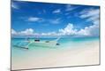 Photographic Print