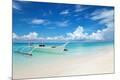 Photographic Print