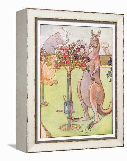 And the Kangaroo Tried to Paint the Roses Blue, Illustration from 'Johnny Crow's Party', c.1930-Leonard Leslie Brooke-Framed Premier Image Canvas