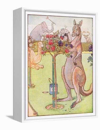 And the Kangaroo Tried to Paint the Roses Blue, Illustration from 'Johnny Crow's Party', c.1930-Leonard Leslie Brooke-Framed Premier Image Canvas