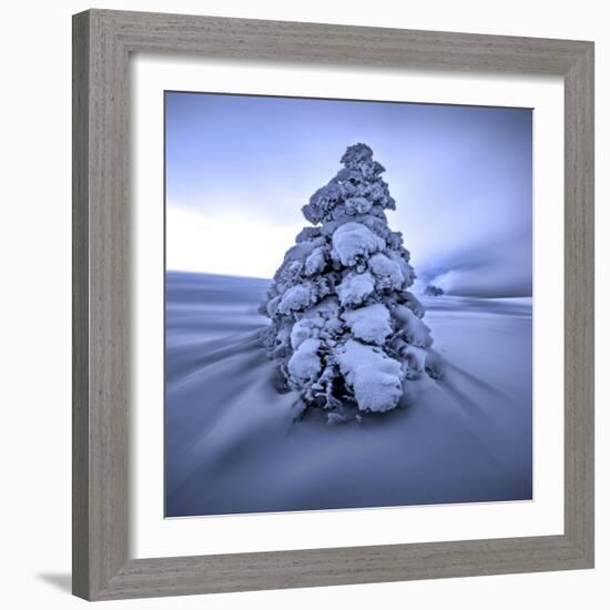 And the Wind Blows-Philippe Sainte-Laudy-Framed Photographic Print