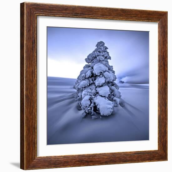 And the Wind Blows-Philippe Sainte-Laudy-Framed Photographic Print