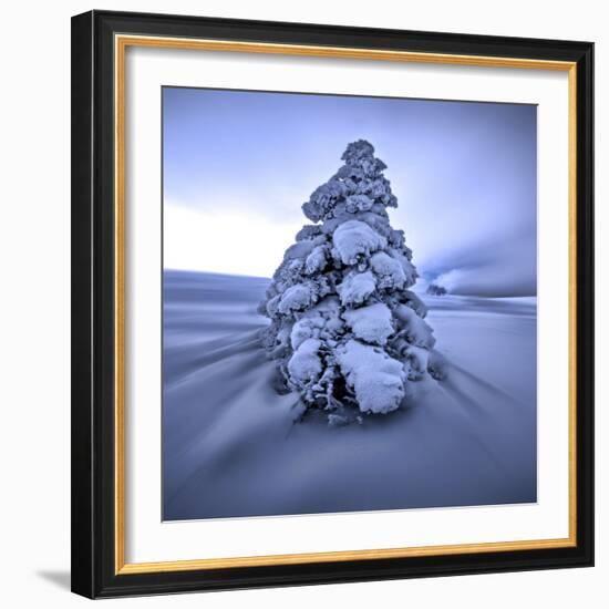 And the Wind Blows-Philippe Sainte-Laudy-Framed Photographic Print